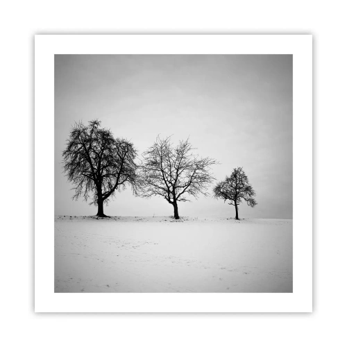 Poszter - Miről álmodoznak? - 50x50 cm