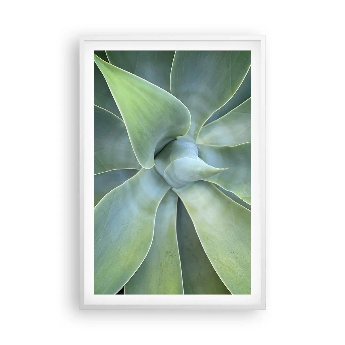 Poszter fekete keretben - A zöld születése - 61x91 cm