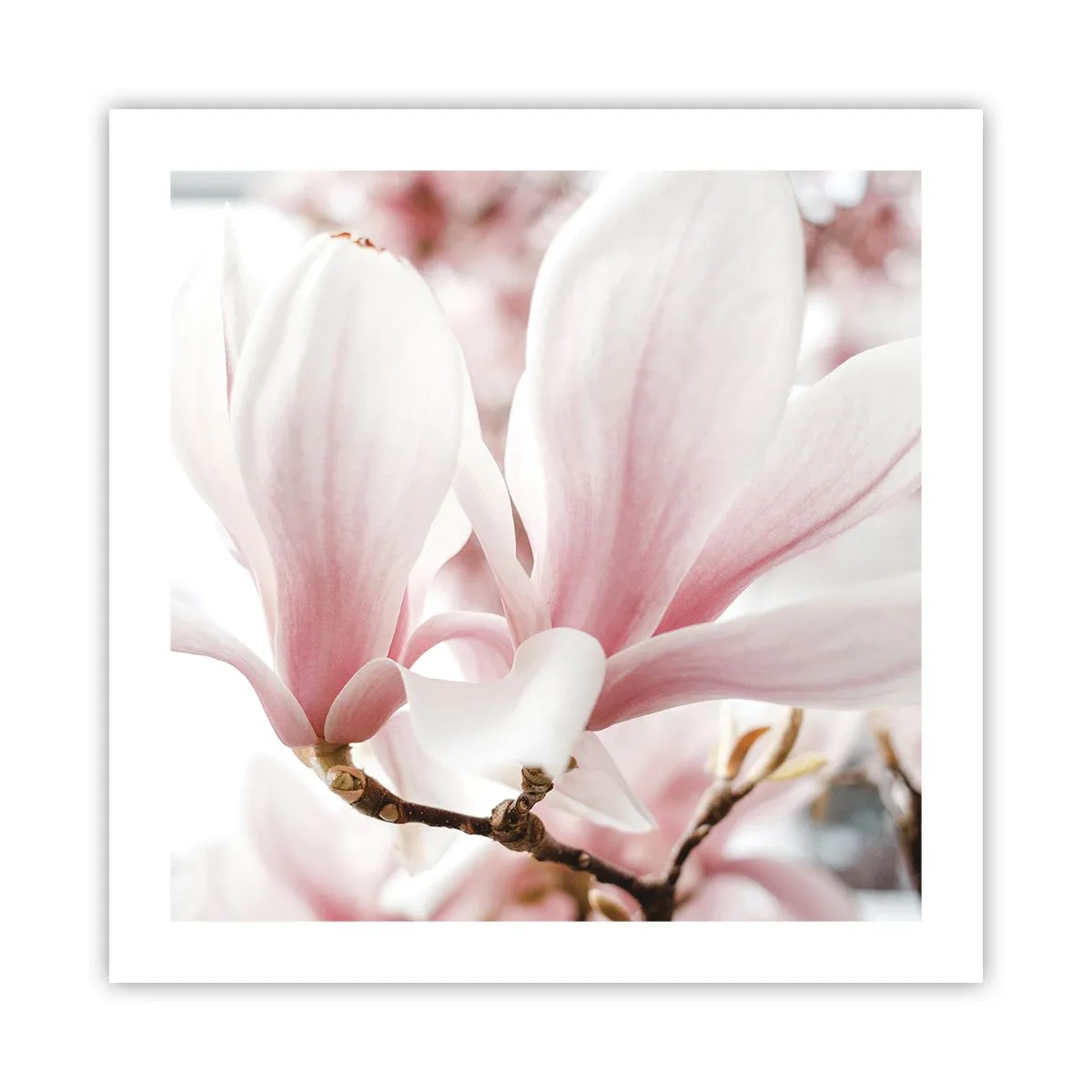 Poszter - Határtalan gyengédség - 50x50 cm