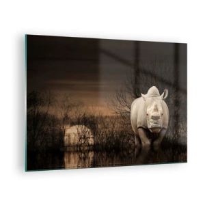 Üveg kép - Orrszarvú a lenyugvó nap ellen - 70x50cm - Fehér a természet ellen - Modern fali dekoráció nappalihoz és hálószobához ARTTOR