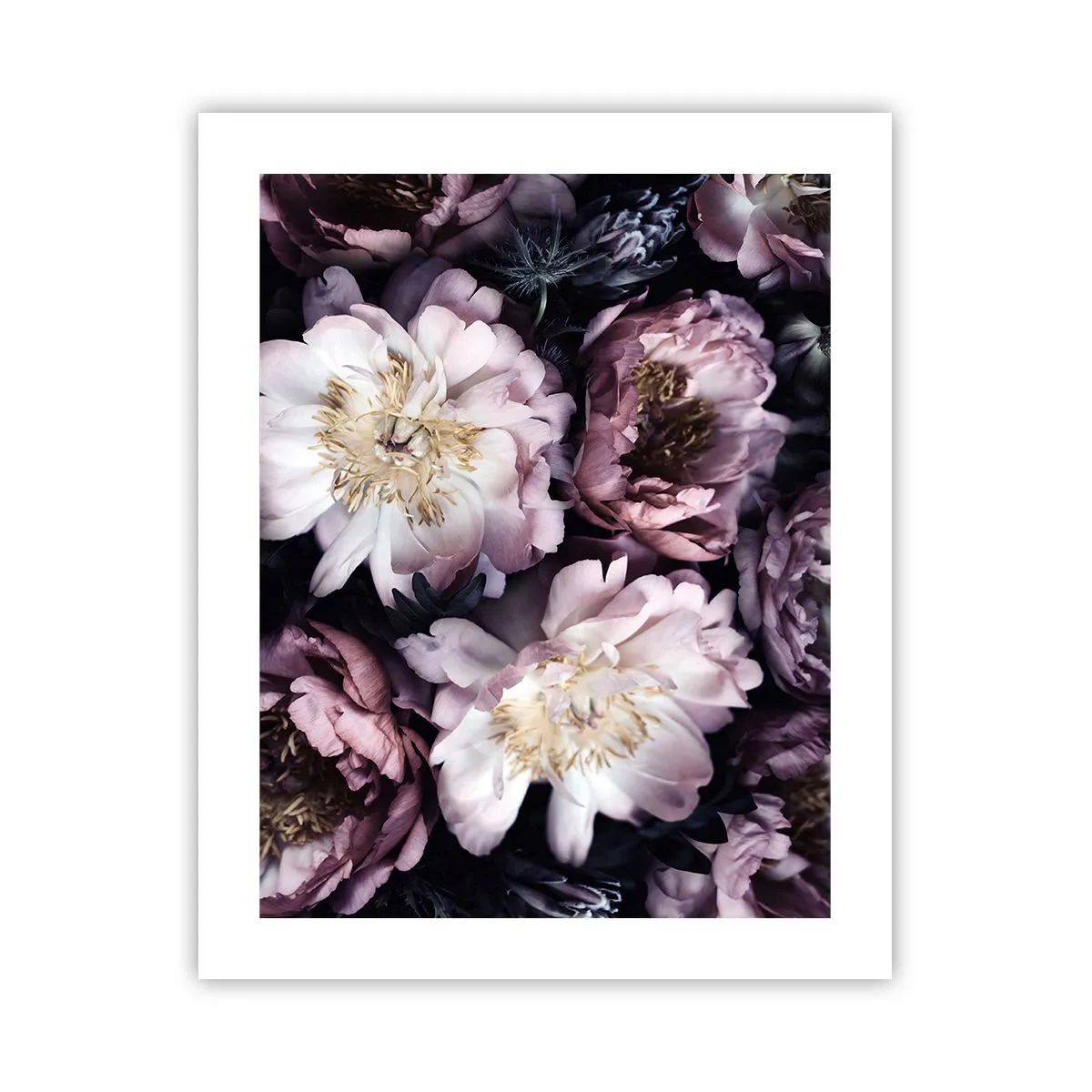 Poszter - Régi stílusú csokor - 40x50 cm