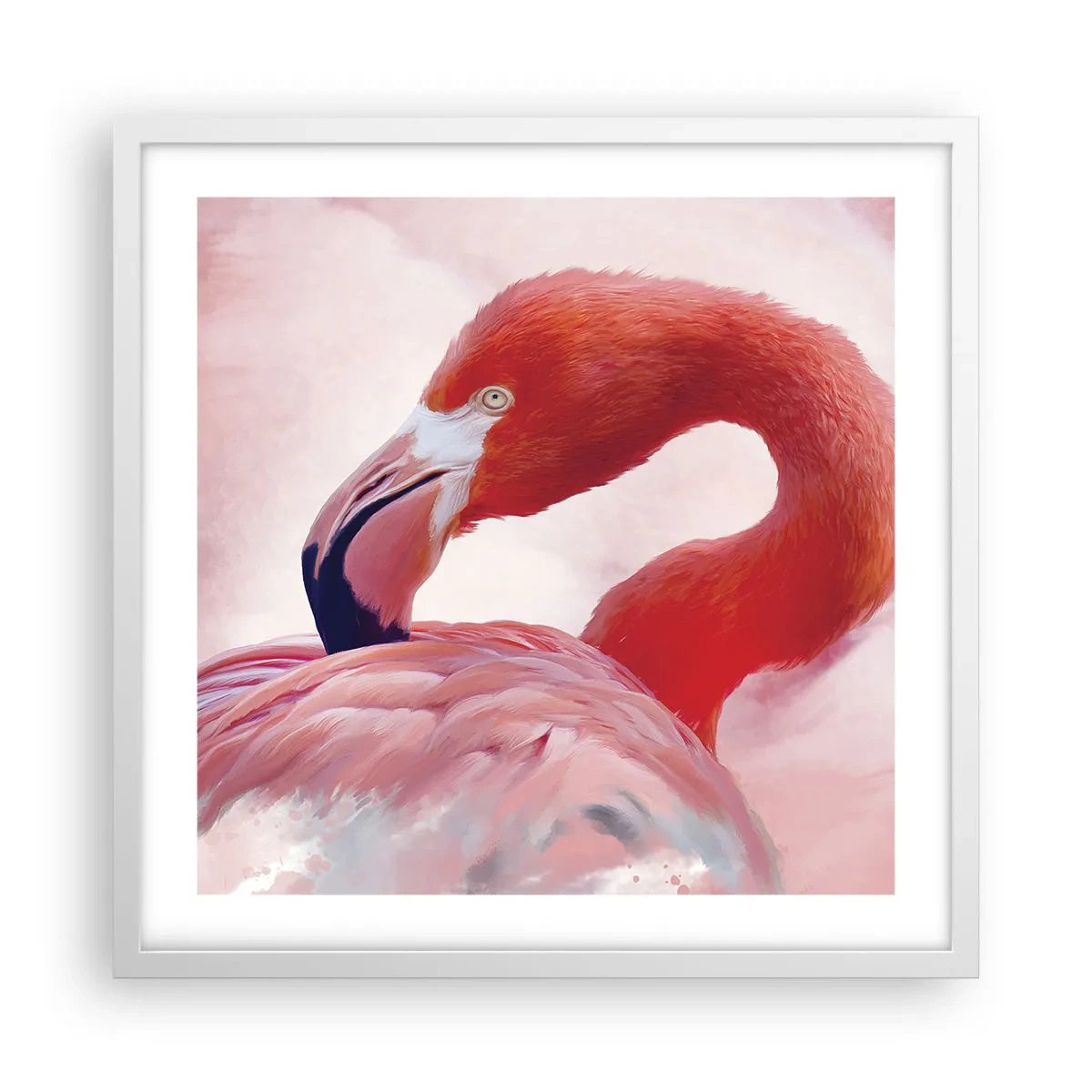 Poszter fekete keretben - Madári szépség - 50x50 cm