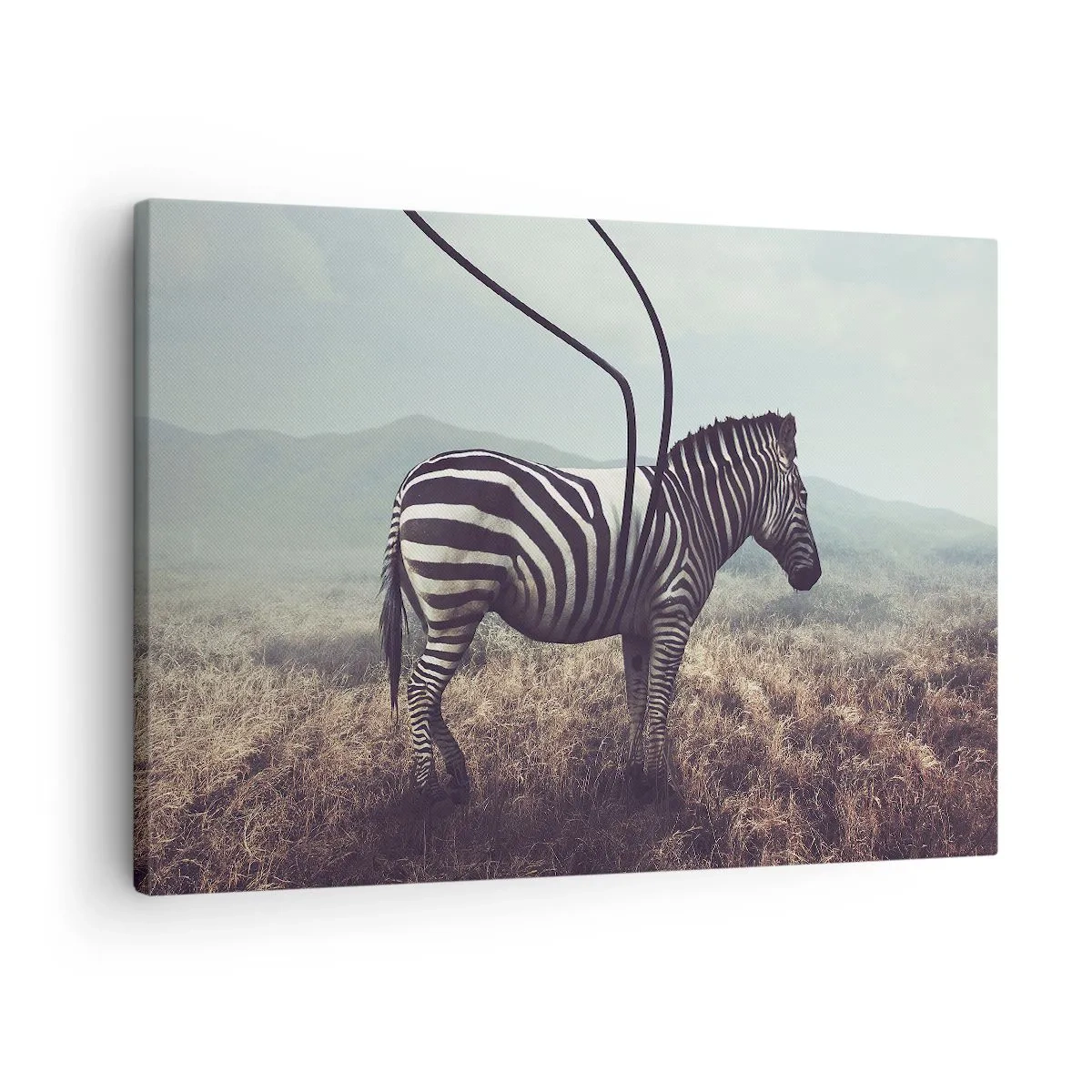 Vászonkép - Egy szürreális zebra egy füves tájon - 70x50cm - Figyelem! Hiba - Modern fali dekoráció nappalihoz és hálószobához ARTTOR