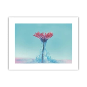 Poszter - Élénkítő ölelésben - 40x30 cm