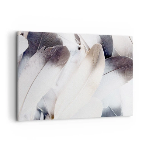 Vászonkép - Szinte angyali - 120x80 cm