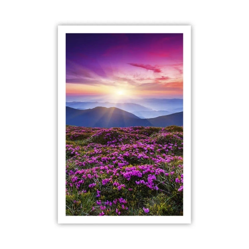 Poszter - A gyógynövények friss fürtjei illatoztak a mezőkről - 61x91 cm