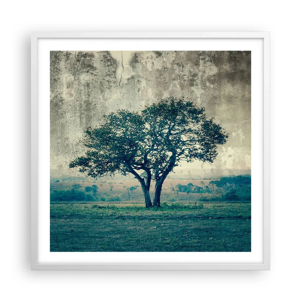 Poszter fekete keretben - Almafa a kék mezőn? - 60x60 cm