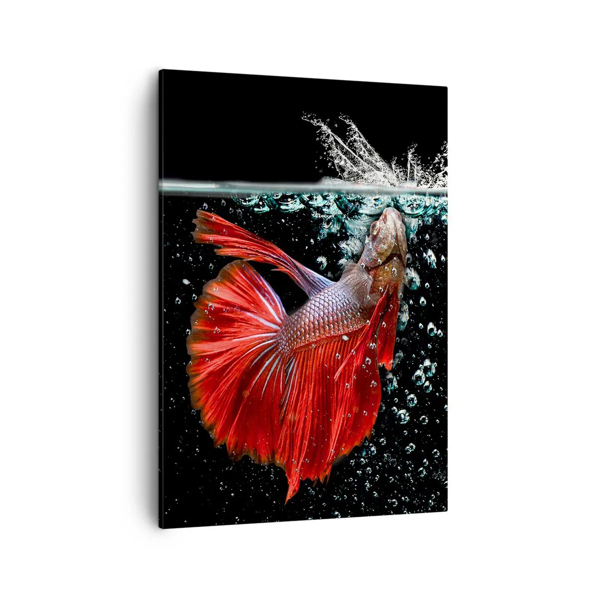 Vászonkép - Három kívánságod van - 50x70 cm