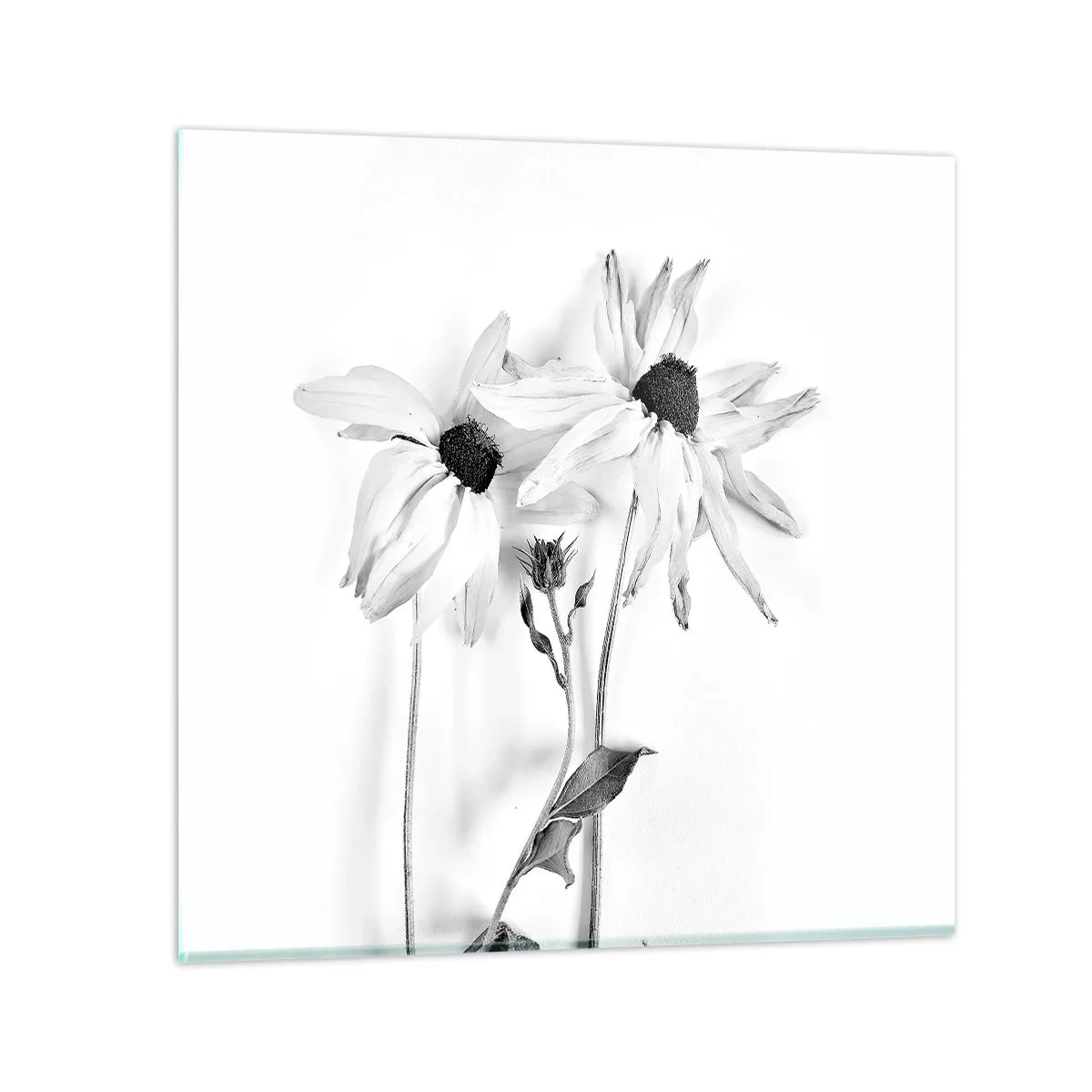 Üveg kép - Senki sem akar egyedül lenni - 40x40 cm