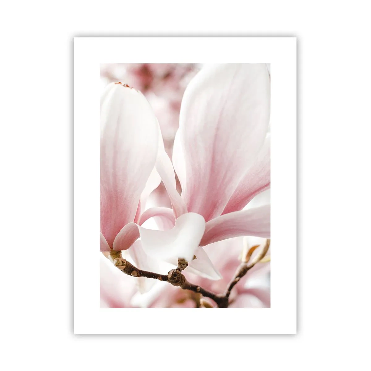 Poszter - Határtalan gyengédség - 30x40 cm