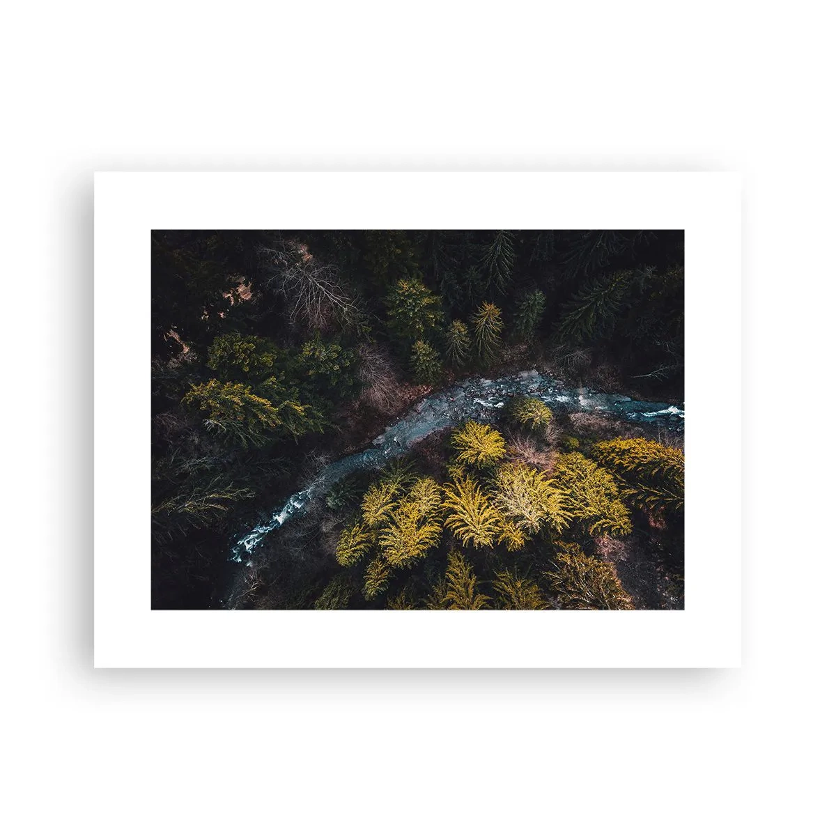 Poszter - Gyorsan, egyre gyorsabban - 40x30 cm