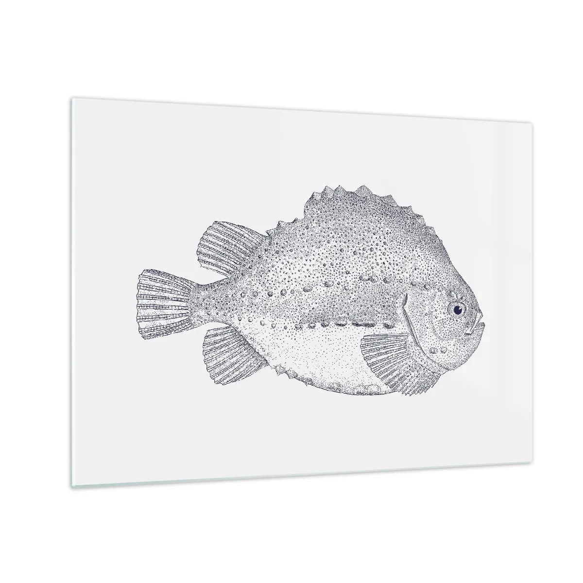 Üveg kép - Részletes gravírozás egy halról fehér alapon, természet stílusban - 70x50cm - A természettudós albumába - Modern fali dekoráció nappalihoz és hálószobához ARTTOR