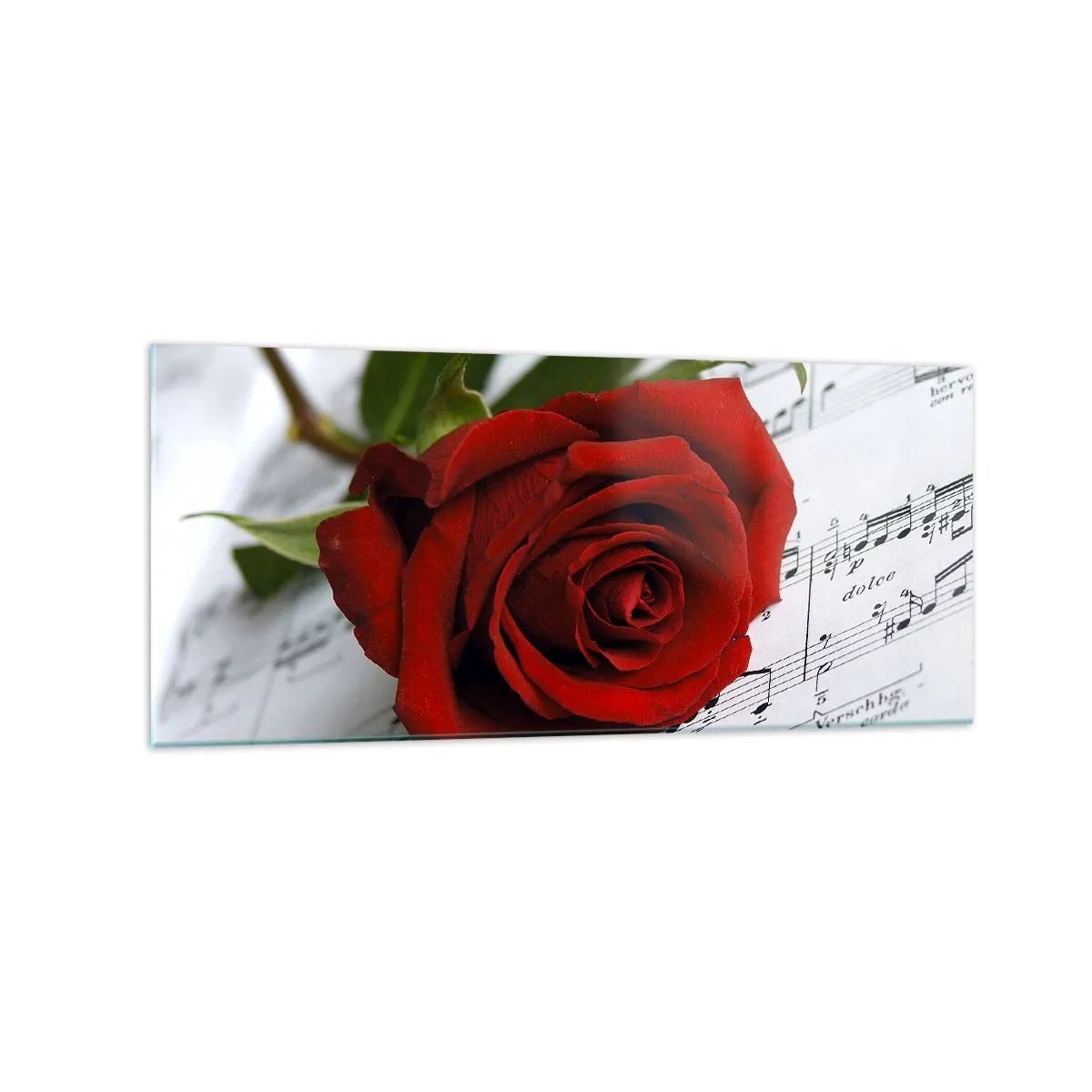 Üveg kép - Érzések zenéje skarlátvörös színben - 120x50 cm