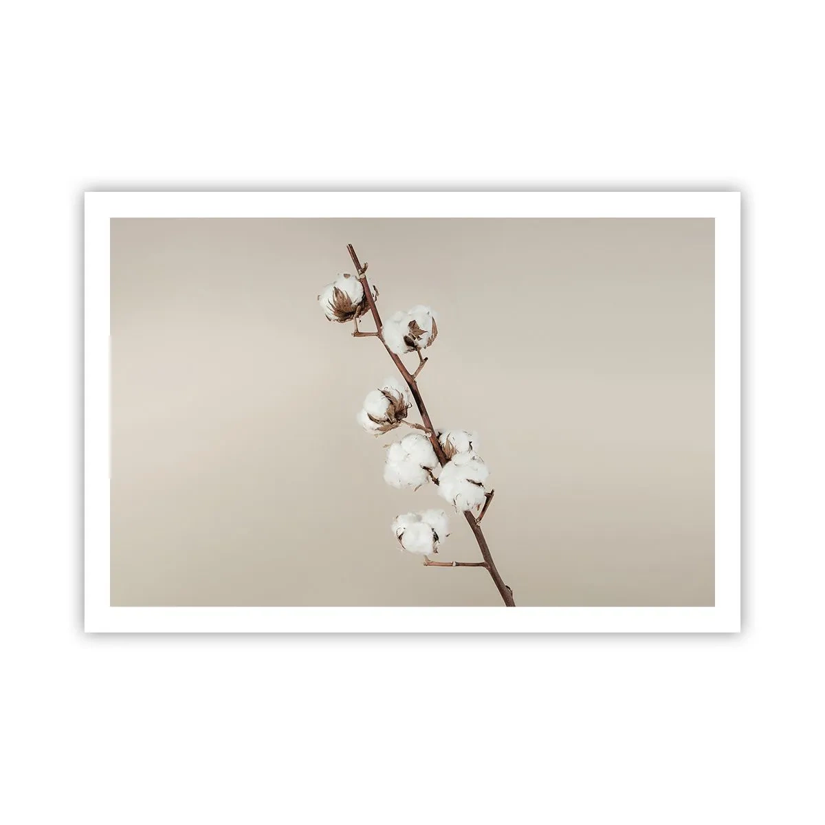 Poszter - A puhaság forrásánál - 91x61 cm