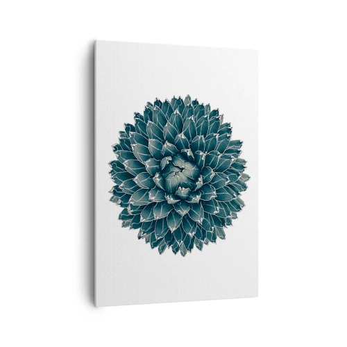 Vászonkép - A sivatag csillaga - 70x100 cm