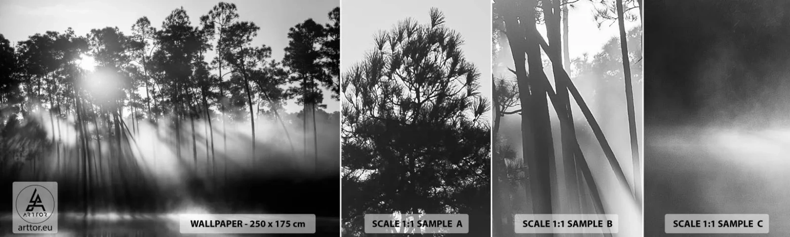 Fotótapéta Minta Standard Eco - Megállíthatatlan nap - Tájkép, Erdő, Természet - 100x30 cm