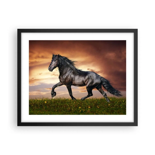 Poszter fehér keretben - Fekete herceg - 50x40 cm