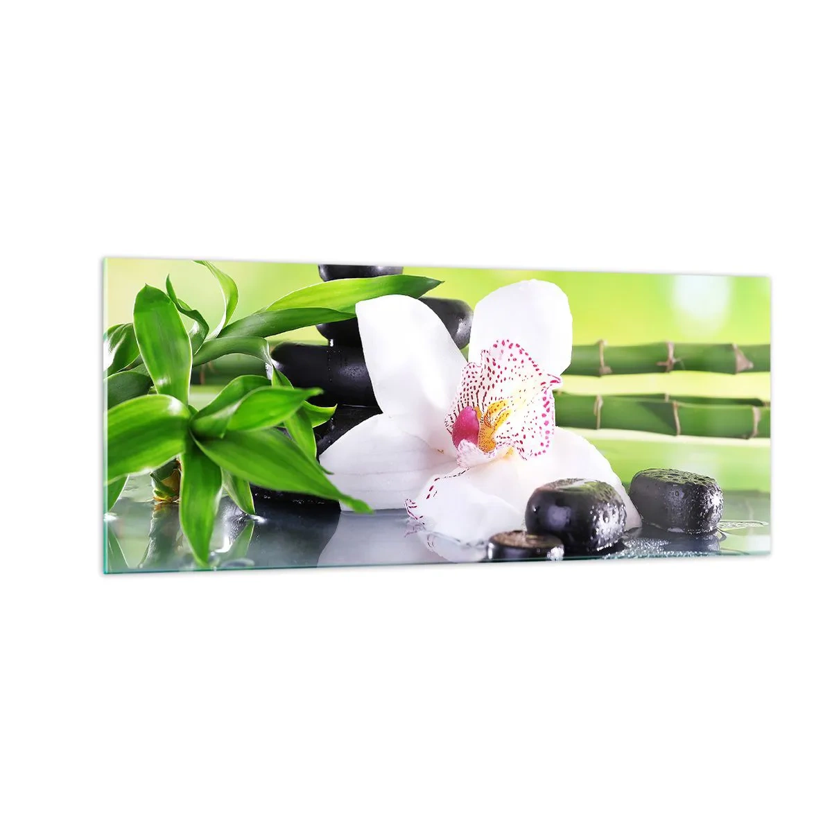 Üveg kép - Hűvös frissesség - 100x40 cm