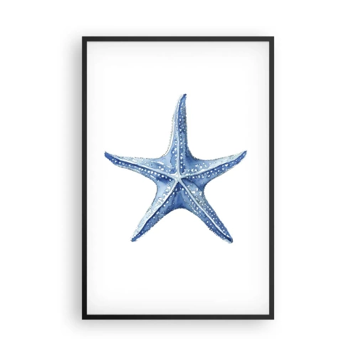Poszter fehér keretben - A tenger csillaga - 61x91 cm