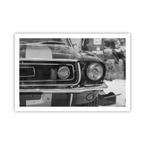 Poszter - Vad utazás - 91x61 cm