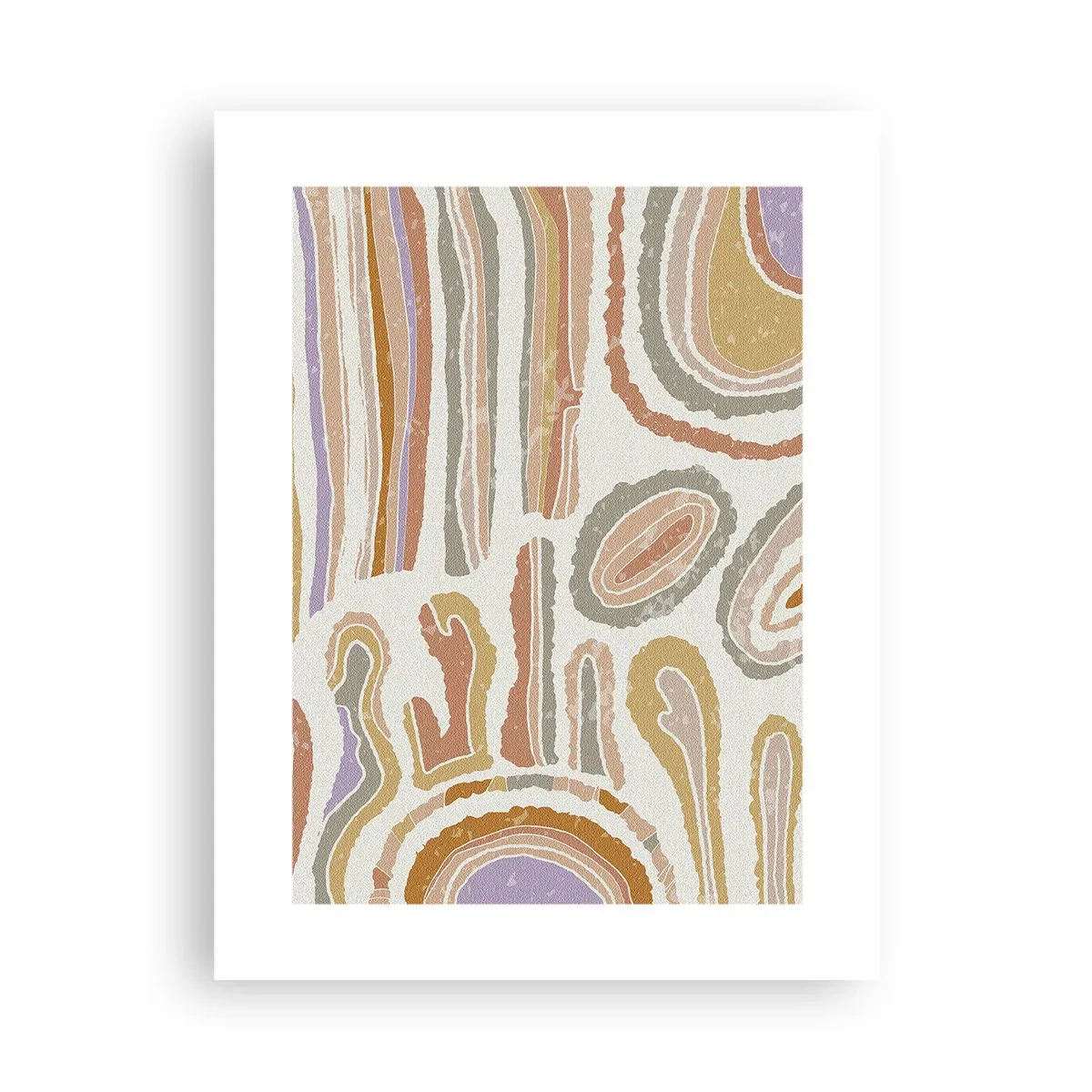 Poszter - Színes keresztmetszetek - 30x40 cm