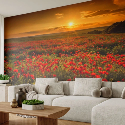 Fotótapéta Premium Sand - Susogó rétek hullámai között, a virág özön között - Tájkép, Virágok, Pipacsok - 500x350 cm