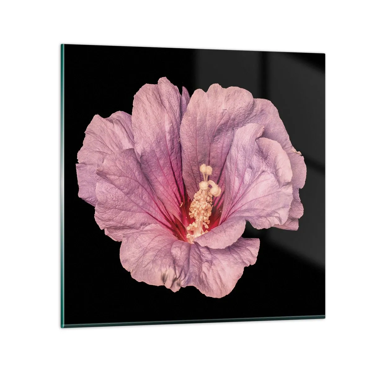 Üveg kép - Egyenesen a szív felé - 40x40 cm