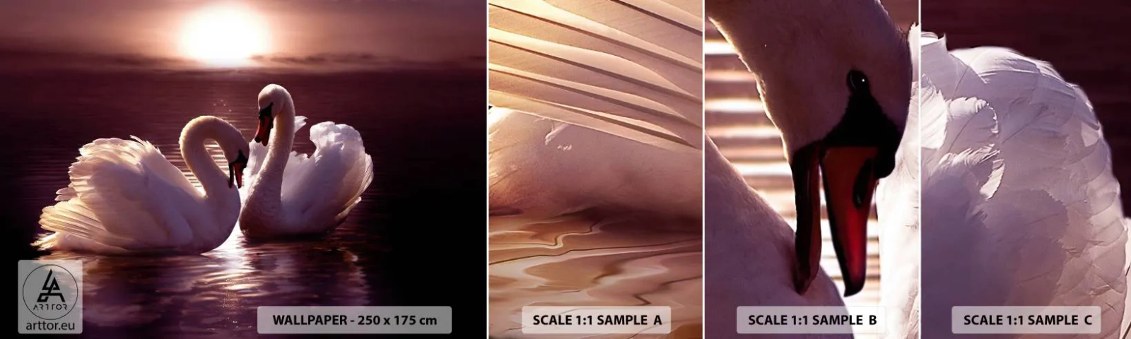 Fotótapéta Minta Standard Eco - Míg a halál el nem választ - Állatok, Tájkép, Hattyúk - 100x30 cm