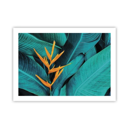 Poszter - Éden virága - 70x50 cm