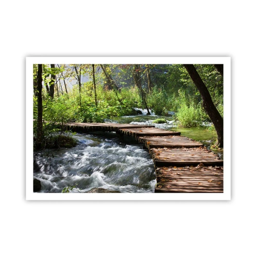 Poszter - A habzó zuhatag felett - 100x70 cm