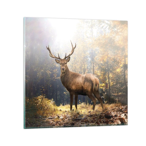 Üveg kép - Teljes fenségben - 40x40 cm