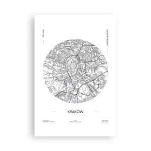 Poszter - Krakkó anatómiája - 61x91 cm