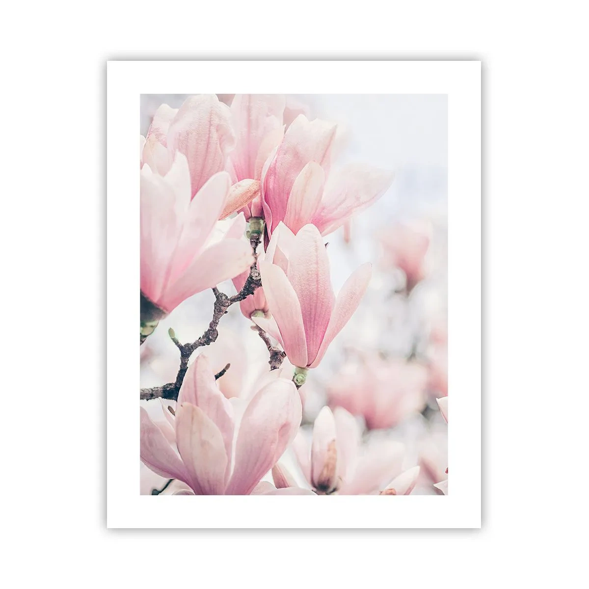 Poszter - A finomság eszménye - 40x50 cm