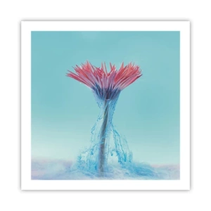 Poszter - Élénkítő ölelésben - 60x60 cm