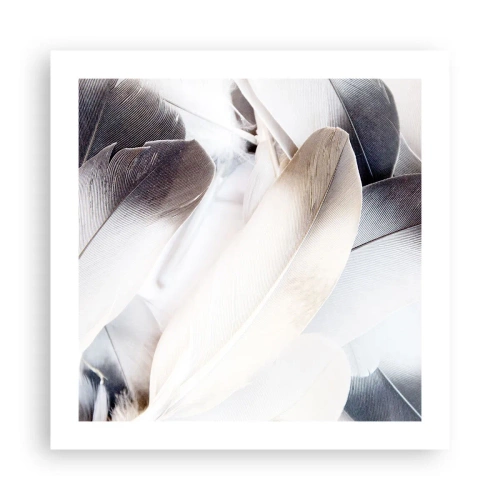 Poszter - Szinte angyali - 50x50 cm