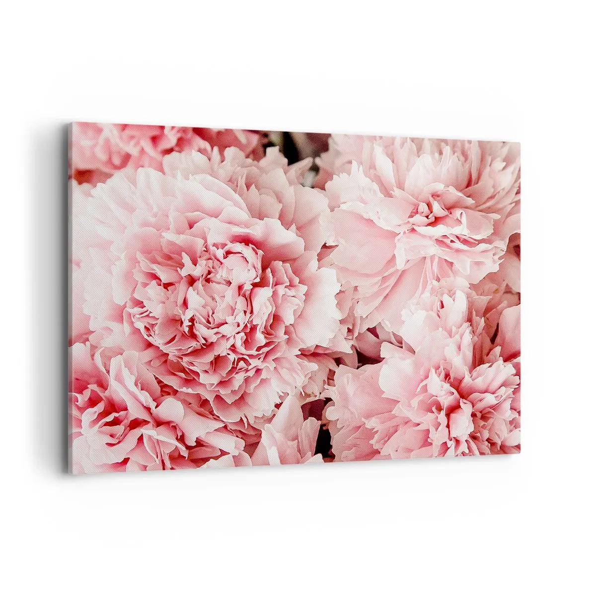 Vászonkép - Rózsaszín álom - 100x70 cm