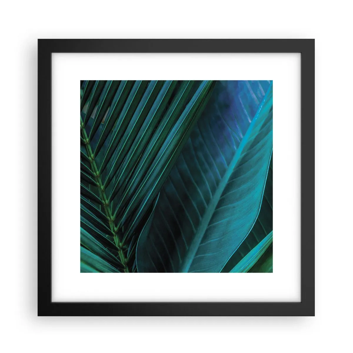 Poszter fehér keretben - A zöld anatómiája - 30x30 cm