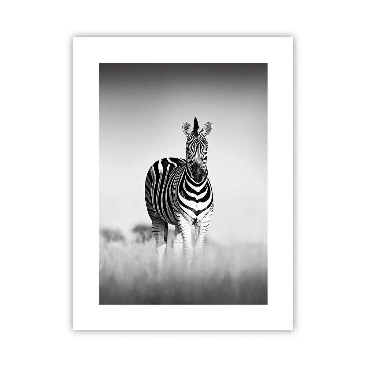 Poszter - A világ mégis fekete-fehér - 30x40 cm