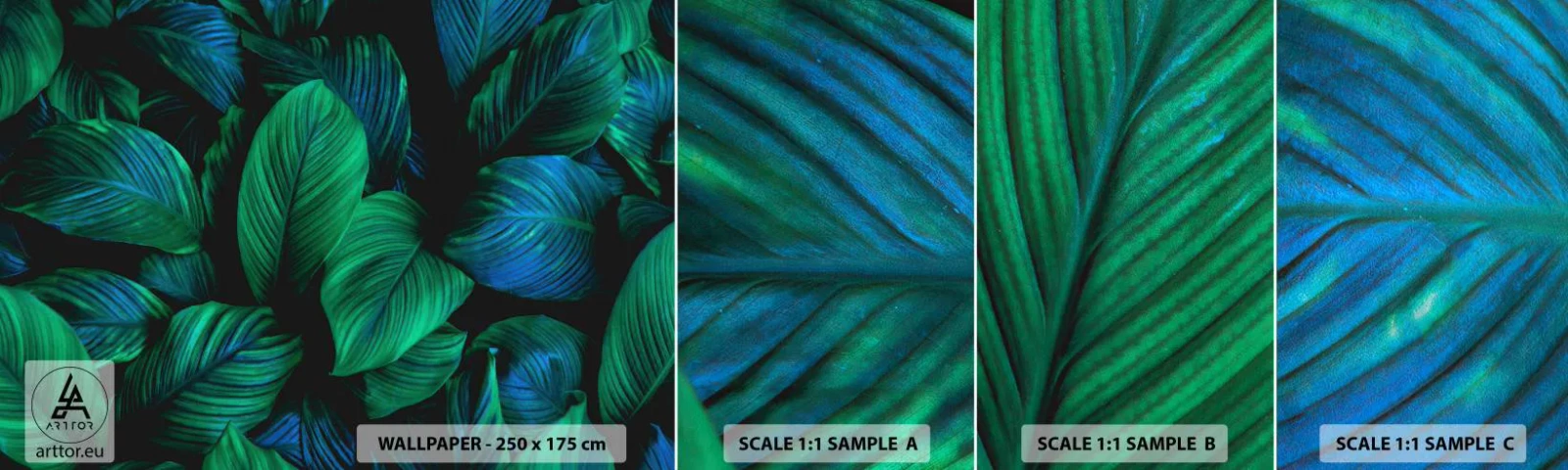 Fotótapéta Minta Standard Eco - A zöld tömegben - Zöld levelek, Trópusi növény, Természet - 100x30 cm