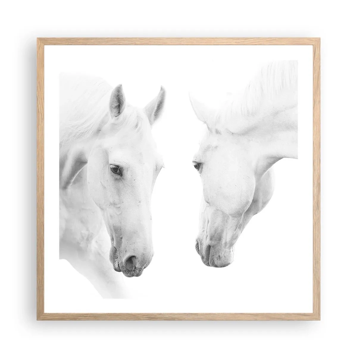 Poszter világos tölgy keretben - Ez a barátság...? - 60x60 cm