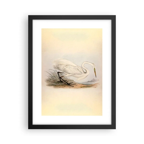 Poszter fehér keretben - Hölgy a nádasban - 30x40 cm