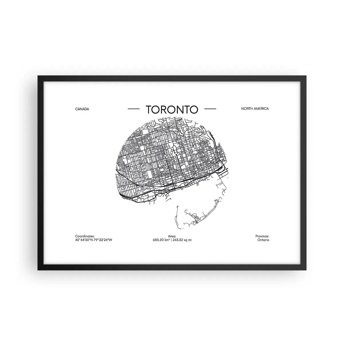 Poszter fehér keretben - Toronto anatómiája - 70x50 cm