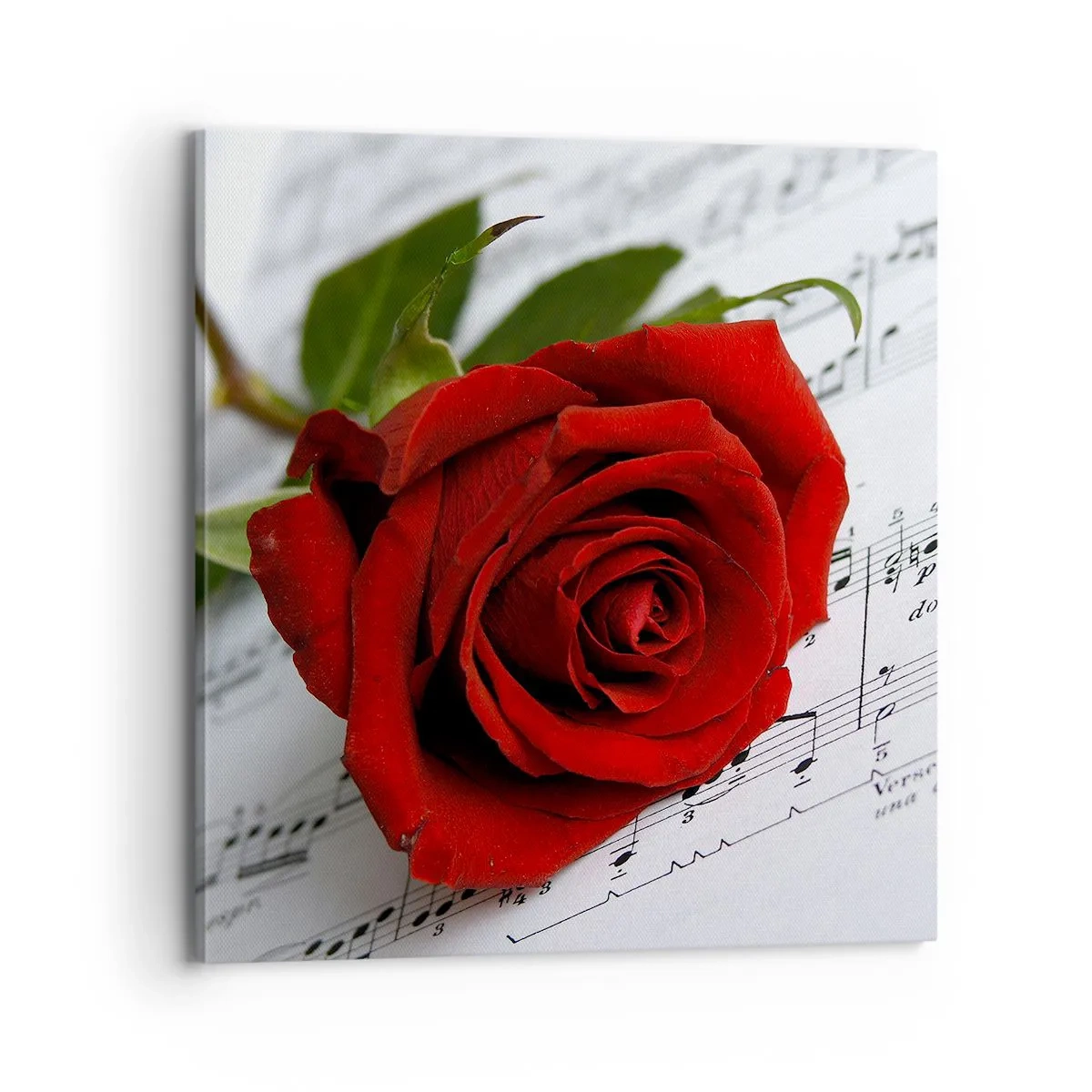 Vászonkép - Érzések zenéje skarlátvörös színben - 70x70 cm