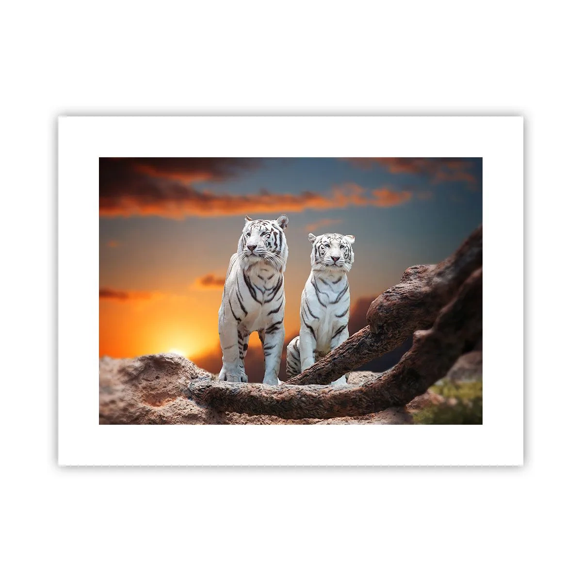 Poszter - Akárcsak Narnia - 40x30 cm