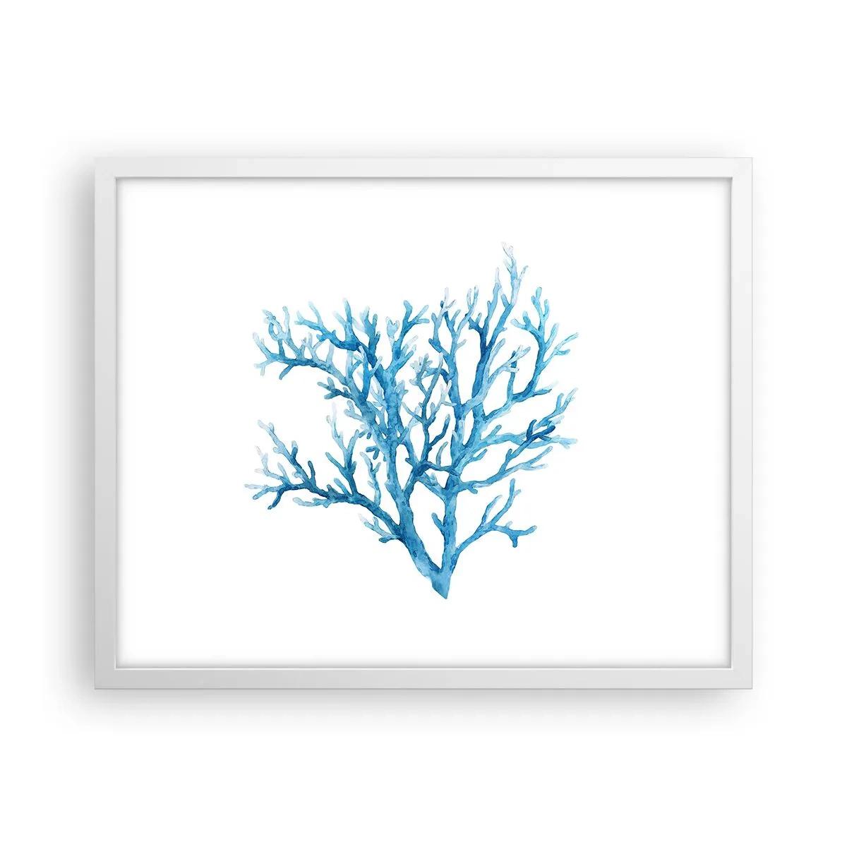 Poszter fekete keretben - Tengeri filigrán - 50x40 cm