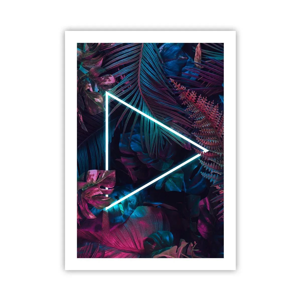 Poszter - Disco stílusú kert - 50x70 cm