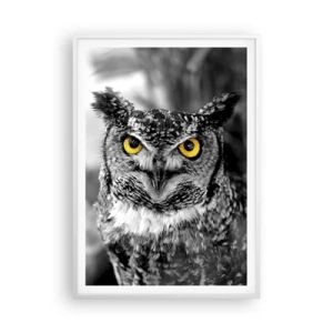 Poszter fekete keretben - Semmi sem fog elbújni - 70x100 cm