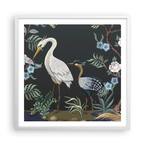 Poszter fekete keretben - Madar parádé - 60x60 cm