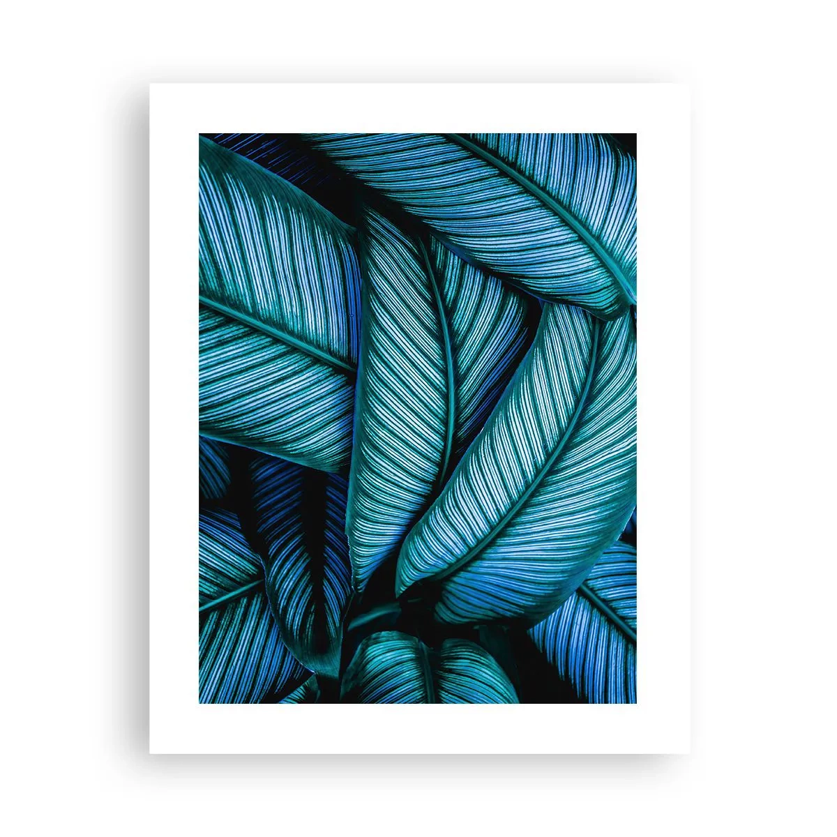 Poszter - Életvonalak - 40x50 cm