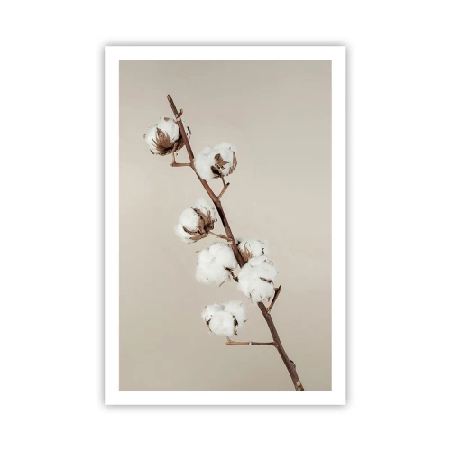 Poszter - A puhaság forrásánál - 61x91 cm